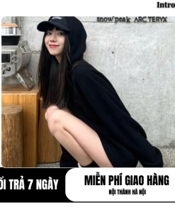 Áo Hoodie Introvert in chữ chìm